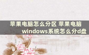 苹果电脑怎么分区 苹果电脑windows系统怎么分d盘